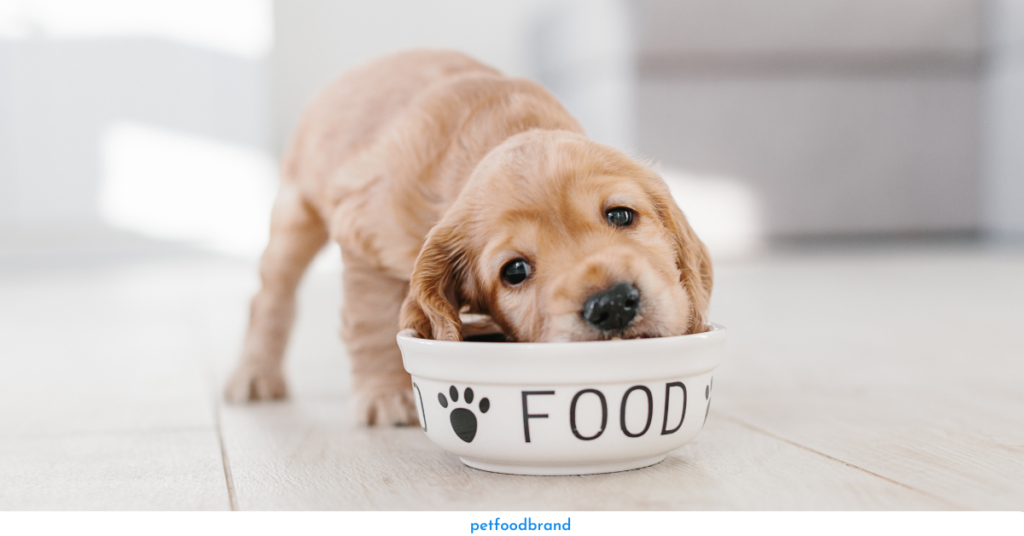 Kasiks Dog Food Feeding Guide