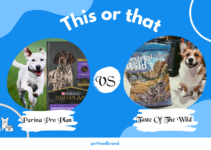 Purina Pro Plan Vs. Taste Of The Wild: Which is Best Dog Food?