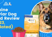 Canine Caviar Dog Food Review (2023, Updated)