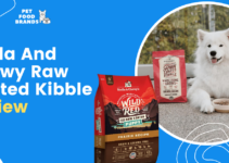 Stella And Chewy Raw Coated Kibble Review (2023)