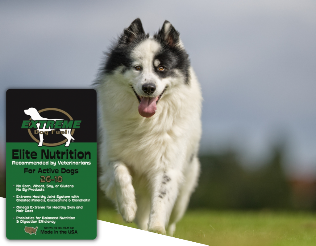 5-Factor Detailed Analysis of Extreme Dog Fuel Elite Nutrition Dog Food