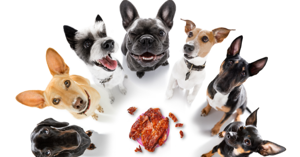 Adverse Effects of Feeding Bacon Grease to Dogs