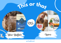 Blue Buffalo Vs. Nutro: Which Dog Food is Better?
