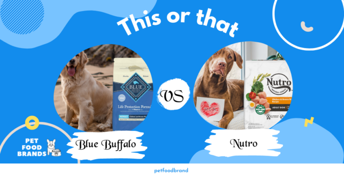 Blue Buffalo Vs. Nutro: Which Dog Food is Better?