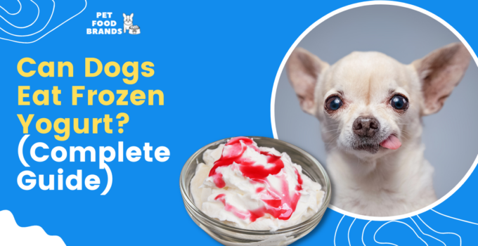 Can Dog Eat Frozen Yogurt