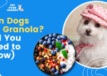 Can Dogs Eat Granola? (All You Need to Know)