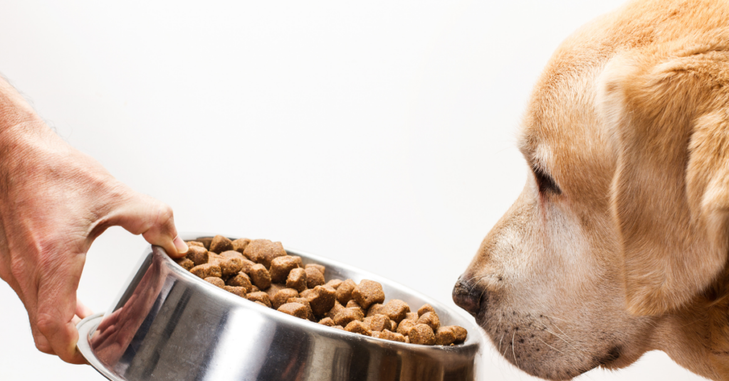 Five-Factor Analysis of Infinia Dog Food