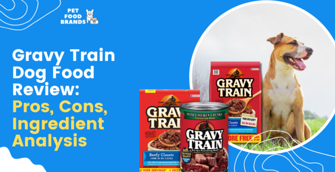 Gravy Train Dog Food Review: Pros, Cons, Ingredient Analysis