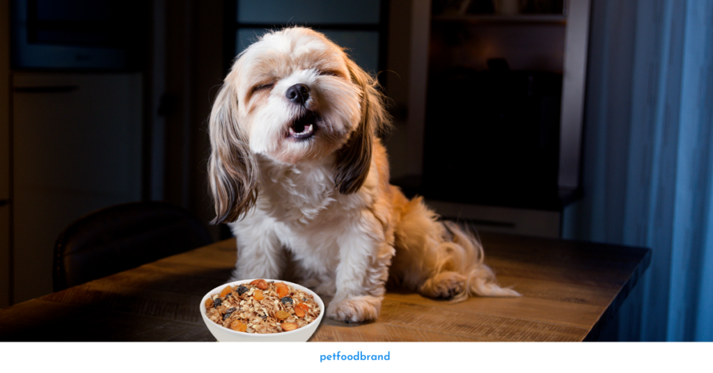 Is Granola Safe For Dogs?