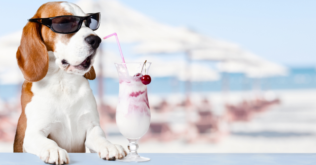 Risks Associated With Giving Frozen Yogurt To Dogs