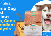 Infinia Dog Food Review: Pros, Cons, Ingredient Analysis