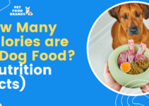 How Many Calories are in Dog Food? (Nutrition Facts)
