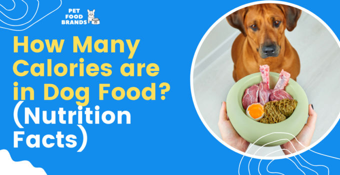 How Many Calories are in Dog Food