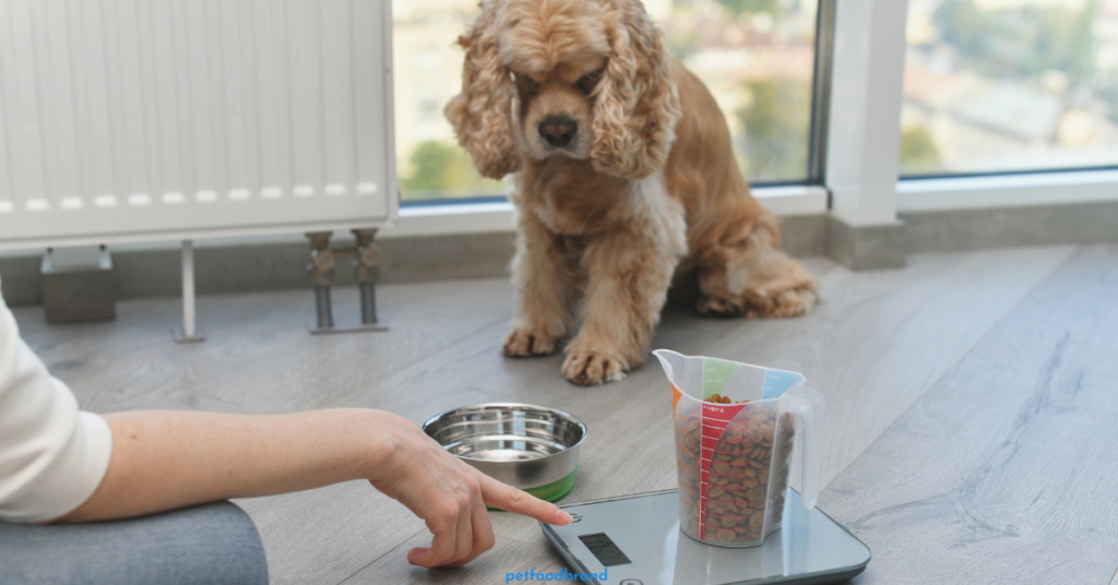 How To Measure Your Dog Food?