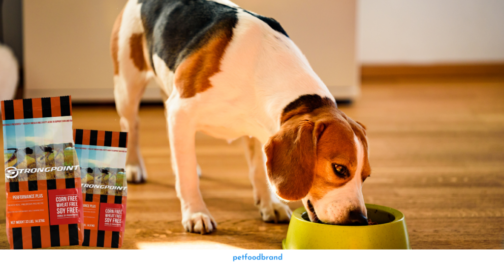 Should You Buy Strongpoint Dog Food?