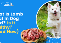 What Is Lamb Meal In Dog Food? Is It Healthy? (Read Now)