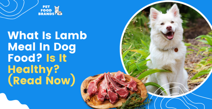 What is Lamb Meal in Dog Food