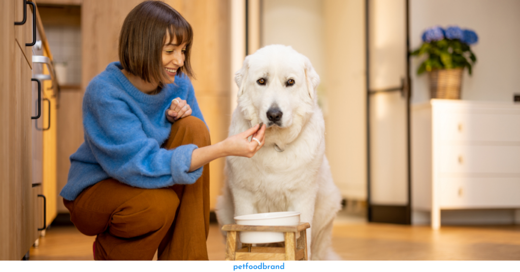 What is The Optimal Calorie Intake For Your Dog?
