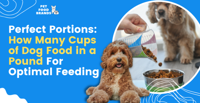 Perfect Portions: How Many Cups of Dog Food in a Pound for Optimal Feeding