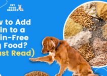 How to Add Grain to a Grain-Free Dog Food? (Must Read)