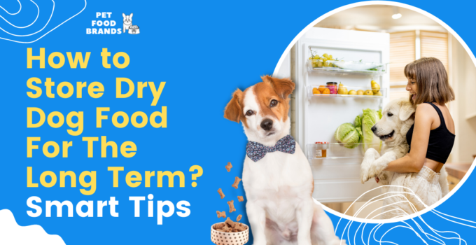 how to store dry dog food long term