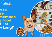 How to Store Homemade Dog Food and for How Long?