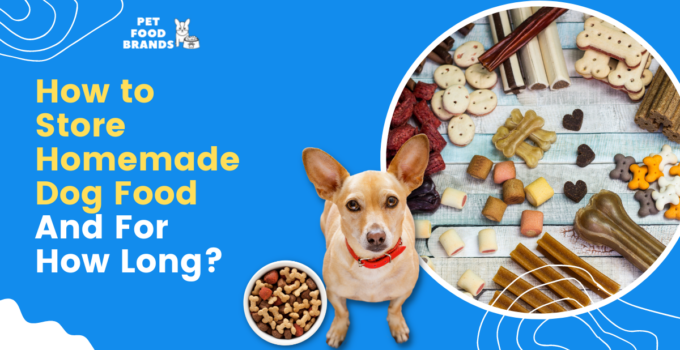 how to store homemade dog food