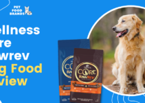 Wellness Core Rawrev Dog Food Review (2023)