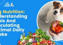 Dog Nutrition: Understanding Kcals and Calculating Optimal Daily Intake