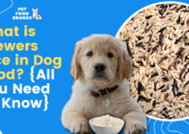 What is Brewers Rice in Dog Food? {All You Need To Know}
