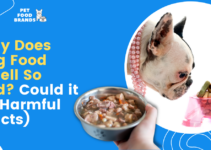Why Does Dog Food Smell So Bad? Could it be Harmful (Facts)