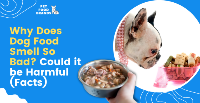 why does dog food smell bad