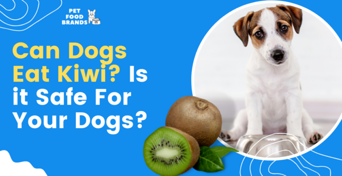 Can Dogs Eat Kiwi? Is it Safe For Your Dogs?