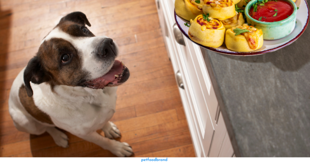 Is It Safe For Dogs To Consume Pizza Rolls?