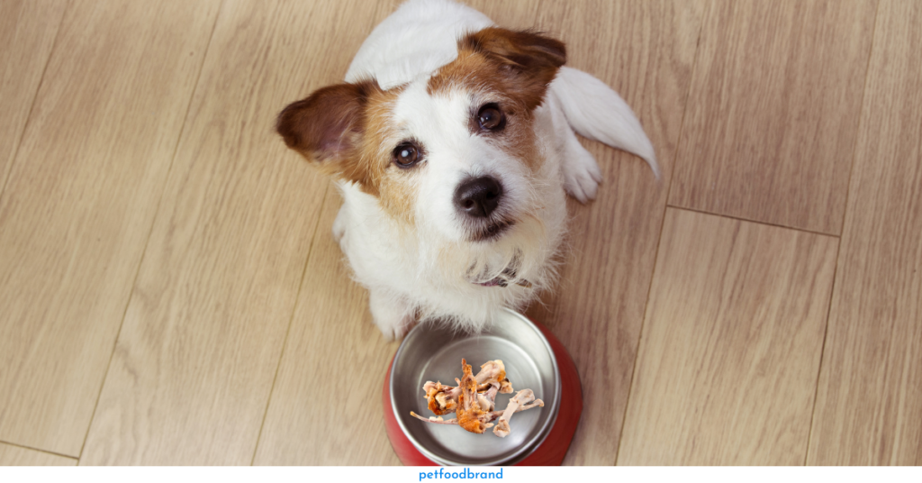 What To Do If Your Pup Consumes Orange Chicken?