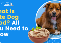 What is Pate Dog Food? All You Need to Know