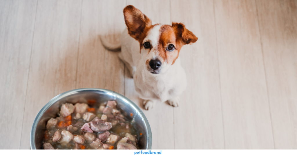 What is Pate Dog Food?