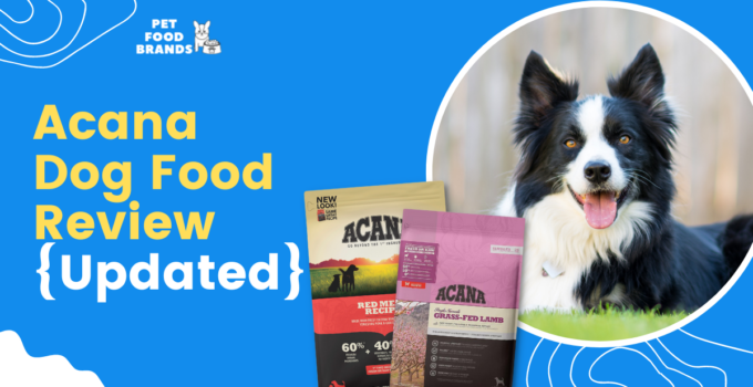 Acana Dog Food Review {Updated, 2023}