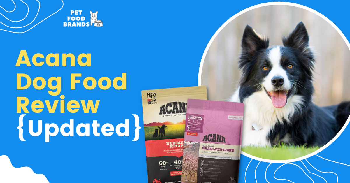 Acana Dog Food Review {Updated, 2023}