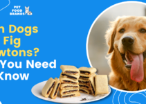 Can Dogs Eat Fig Newtons? All You Need to Know