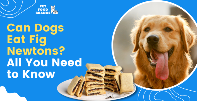 Can Dogs Eat Fig Newtons? All You Need to Know
