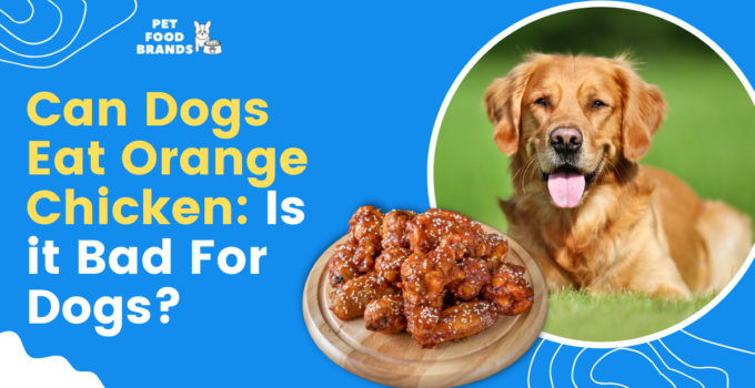 can dogs eat orange chicken