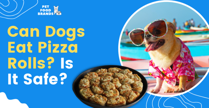 Can Dogs Eat Pizza Rolls? Is It Safe?