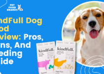 KindFull Dog Food Review: Pros, Cons, and Feeding Guide