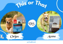 Orijen Vs Acana: Which Dog Food is Better?