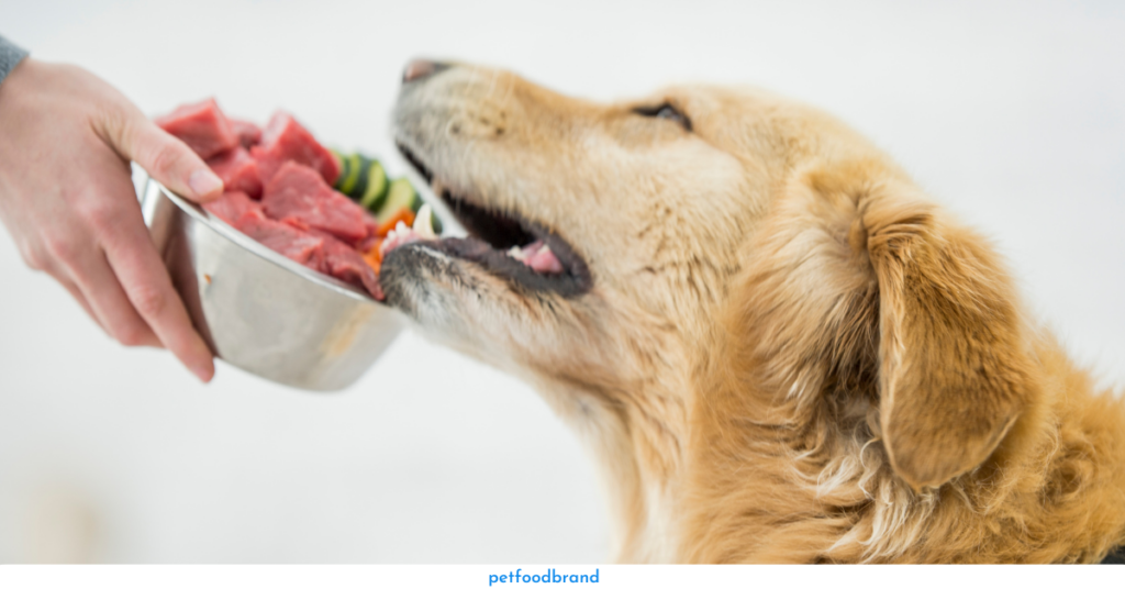 All About Raw Food For Dogs