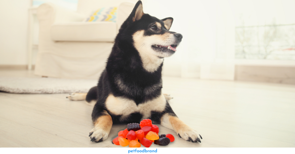 Are Fruit Snacks Unsafe For Canines?
