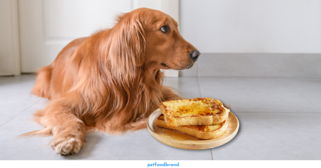 Can-dogs-eat-French-toast