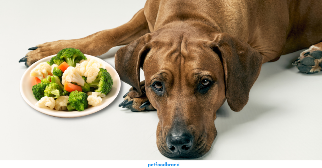 Is Cauliflower Safe For Dogs?