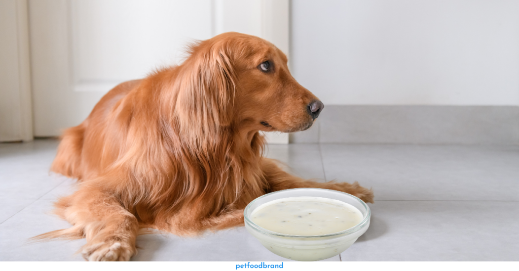 Is it Safe For a Dog to Eat Ranch Dressing?